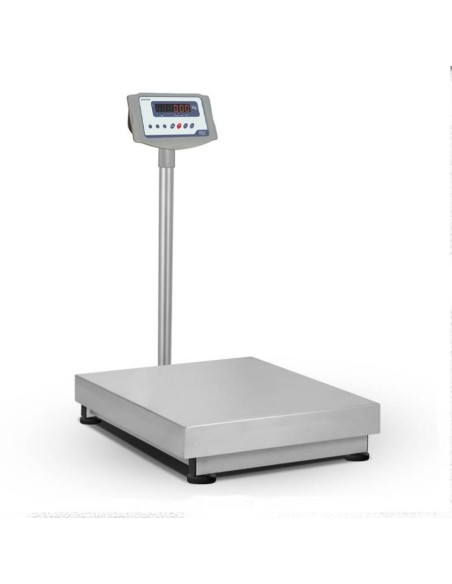BALANZA INDUSTRIAL GRAM RX CON COLUMNA 40X30